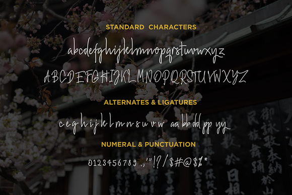Hiroshima Handwritten Font in Script Fonts - product preview 6
