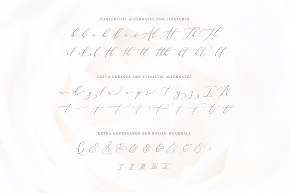 White Garden Calligraphy Logo Font in Wedding Fonts - product preview 6
