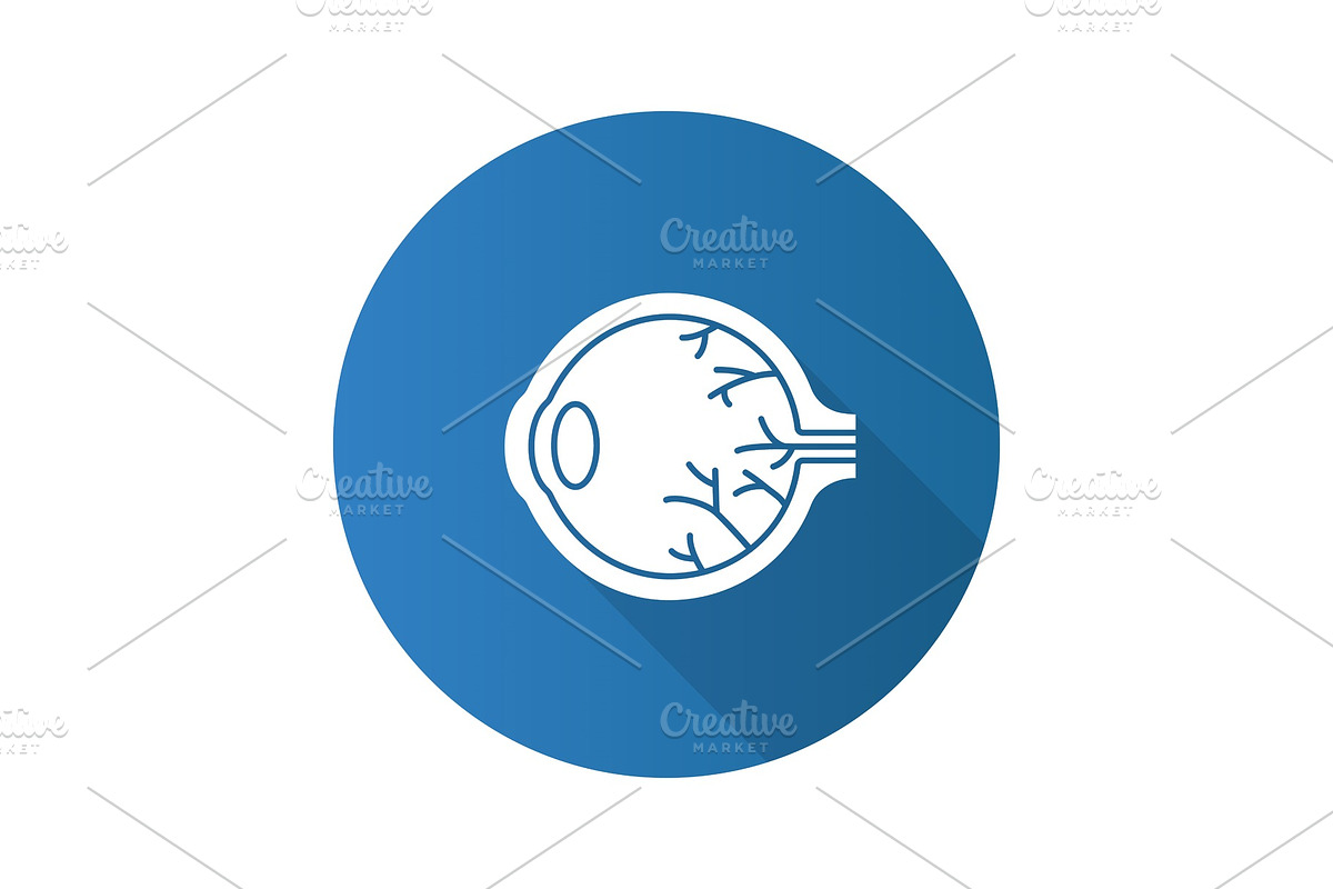 Eye anatomy flat design long shadow glyph icon in Graphics - product preview 8