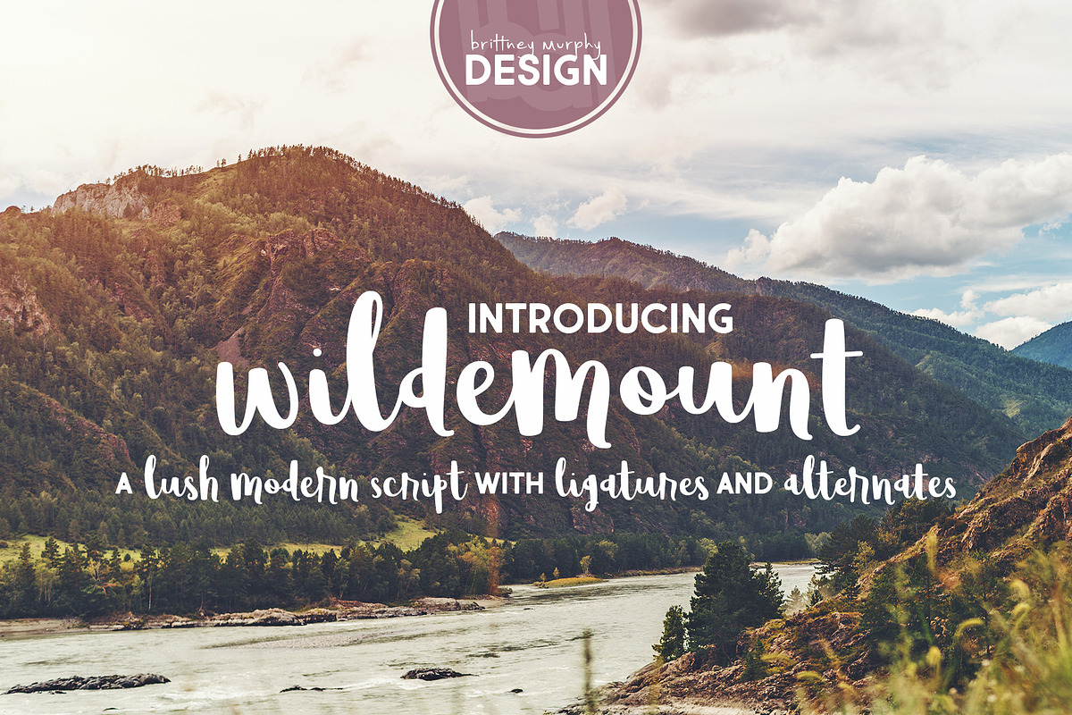 Wildemount in Script Fonts - product preview 8