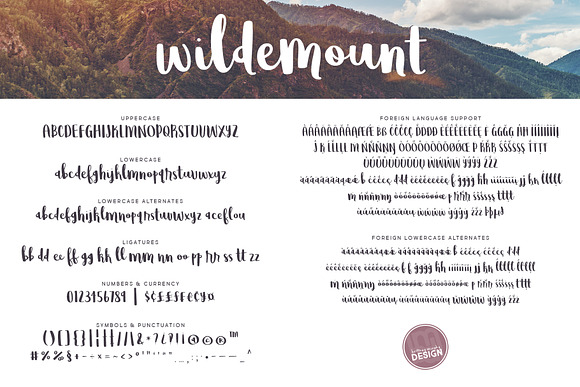 Wildemount in Script Fonts - product preview 1