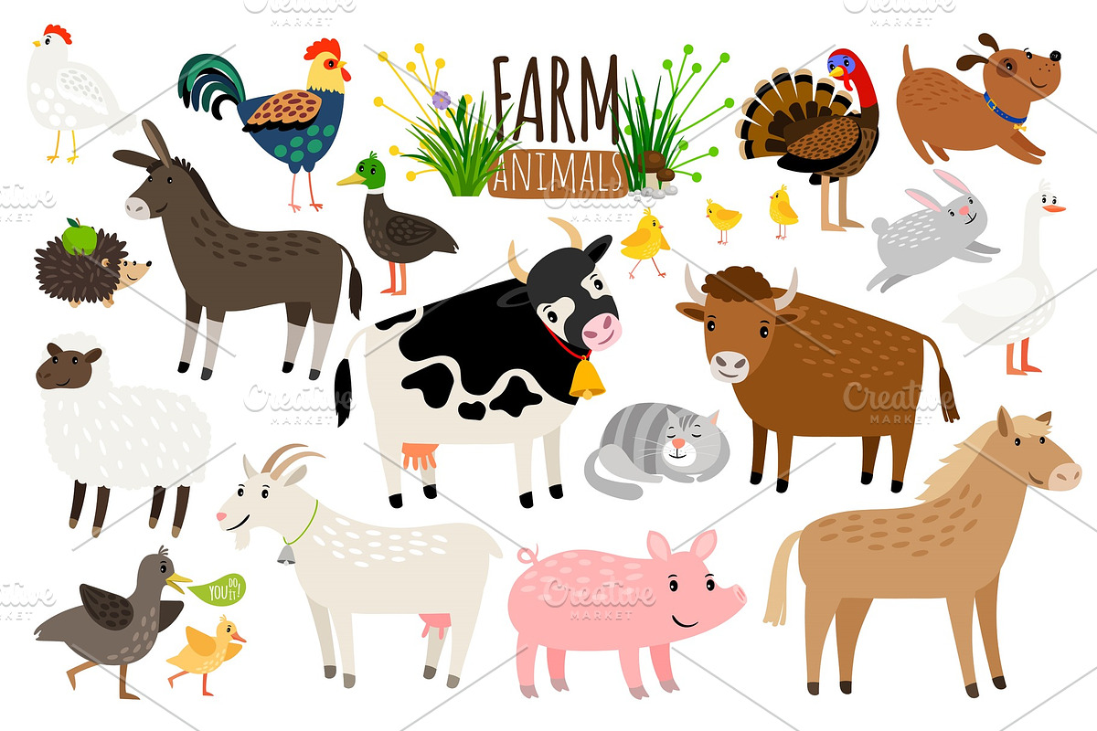 Farm animals. Domestic farm animal collection isolated on white, goose and donkey, pig and goat, cow and sheep vector in Illustrations - product preview 8