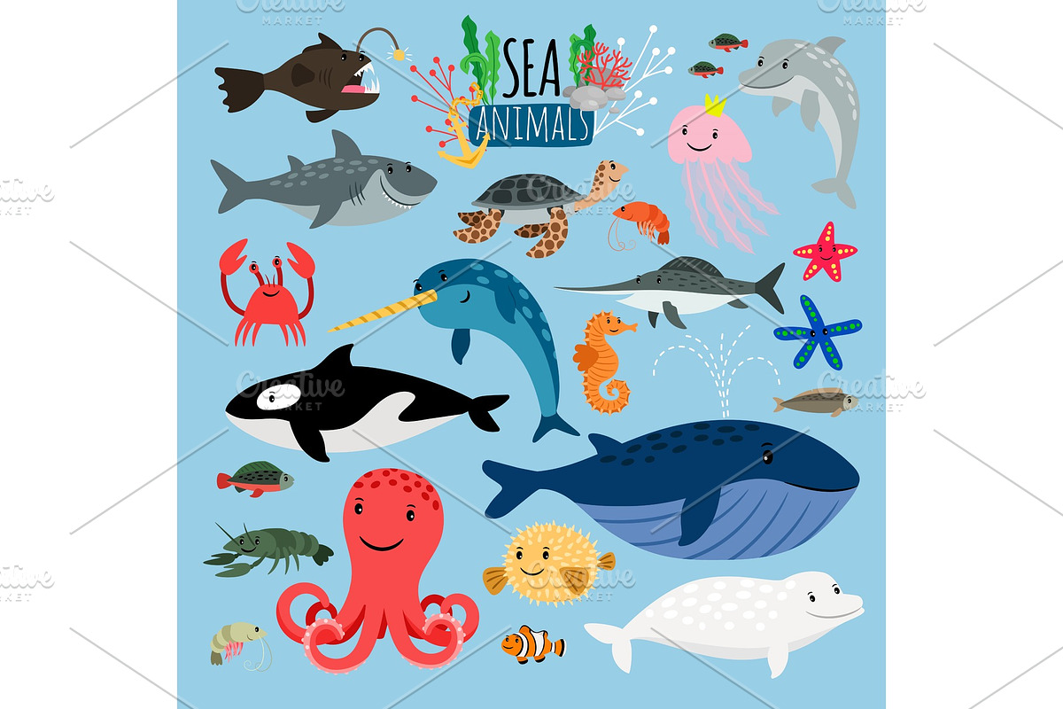 Sea Animals. Vector underwater animal creatures and fish in sea, swordfish and langoustine, ocean turtle and starfish in Illustrations - product preview 8