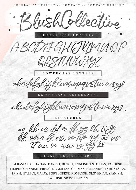 Blush Collective - 4 Fonts + Extras! in Script Fonts - product preview 9