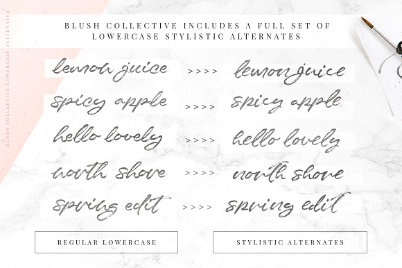 Blush Collective - 4 Fonts + Extras! in Script Fonts - product preview 14