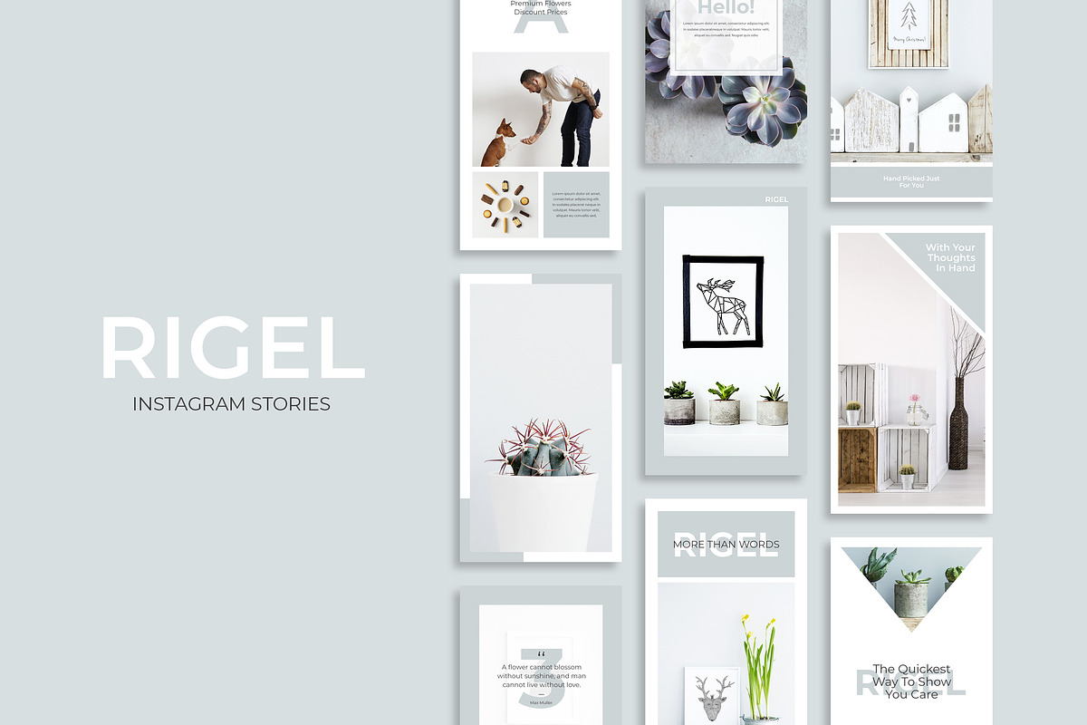 Rigel Instagram Stories in Instagram Templates - product preview 8