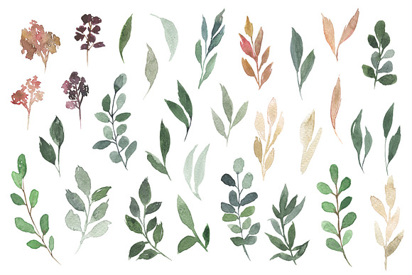 Grace - Blush & Plum Florals in Illustrations - product preview 1