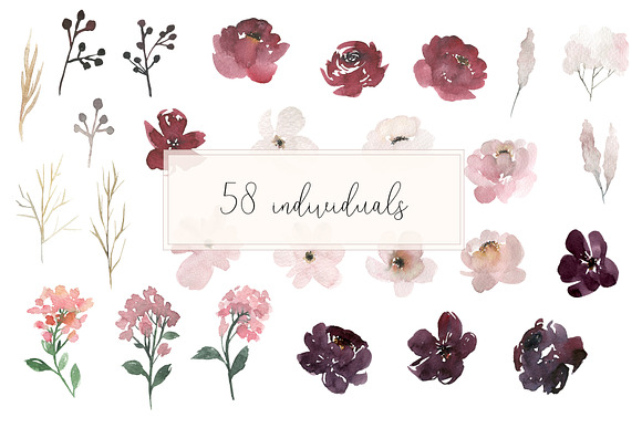 Grace - Blush & Plum Florals in Illustrations - product preview 2