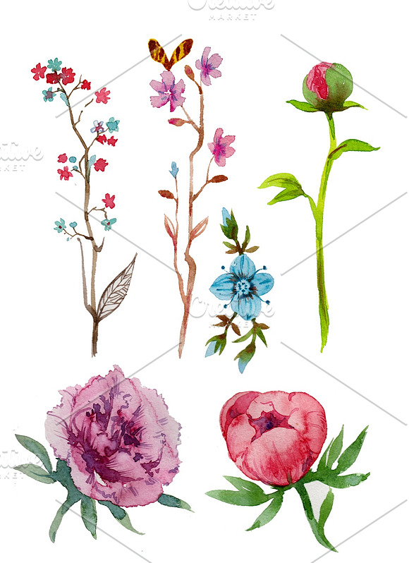 Watercolor painted flowers pack in Illustrations - product preview 3