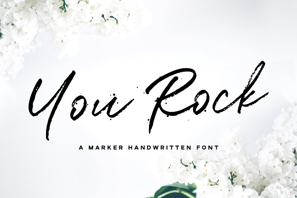 Handwritten Font Bundle is back! in Script Fonts - product preview 38