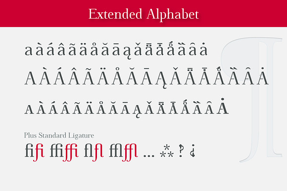 Omologo Serif Semi Stencil font in Serif Fonts - product preview 4