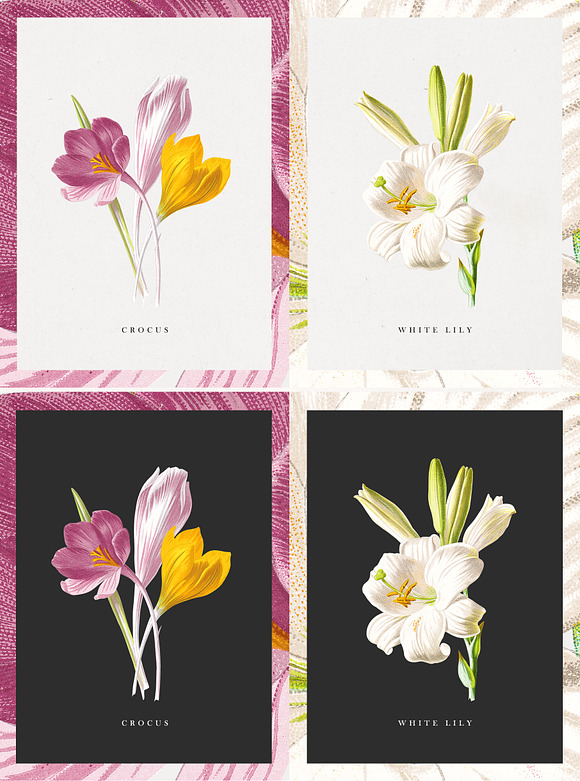 The Botanist - Flower Illustrations in Illustrations - product preview 4