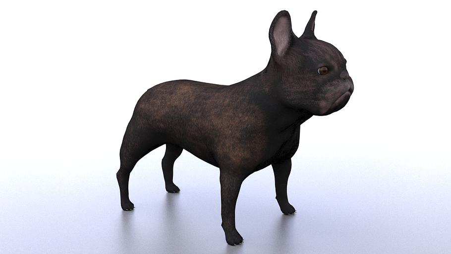French Bulldog in Animals - product preview 3