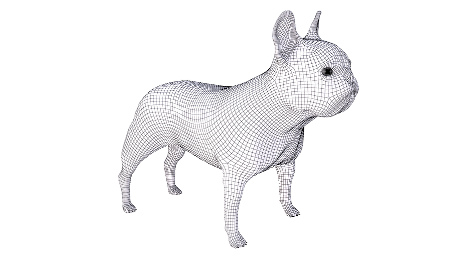 French Bulldog in Animals - product preview 4