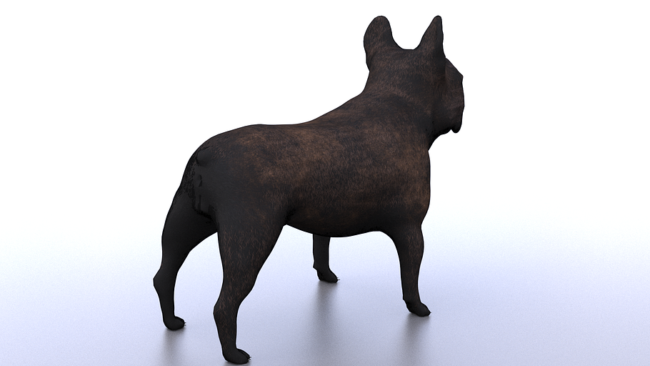 French Bulldog in Animals - product preview 6