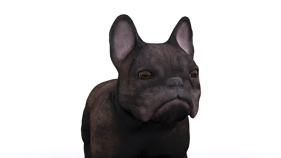 French Bulldog in Animals - product preview 7