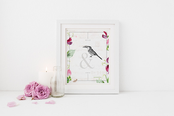 The Botanist - Flower Illustrations in Illustrations - product preview 6