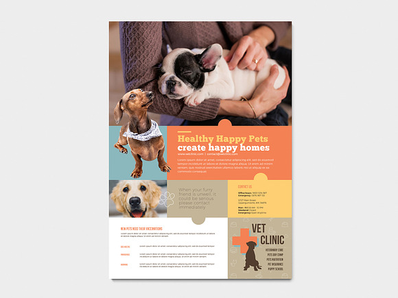 A4 Vet Clinic Poster Template in Flyer Templates - product preview 4