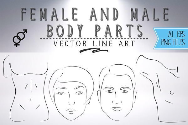 Body parts vector line art set