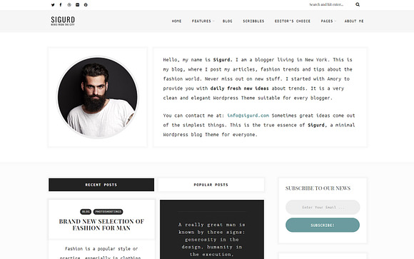 Sigurd – WordPress theme for writers in WordPress Blog Themes - product preview 2