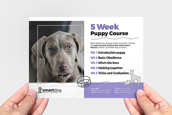 Puppy School Flyer Template in Flyer Templates - product preview 1