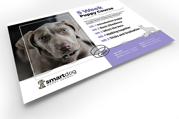 Puppy School Flyer Template in Flyer Templates - product preview 2