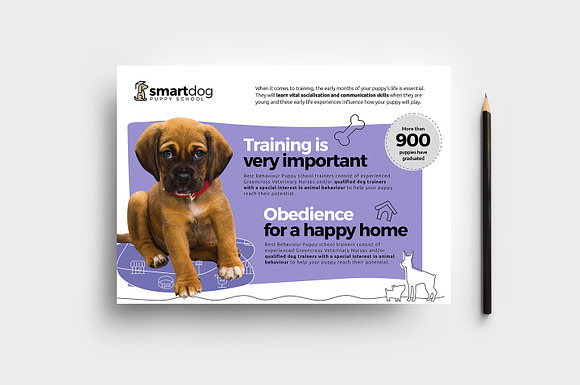 Puppy School Flyer Template in Flyer Templates - product preview 3