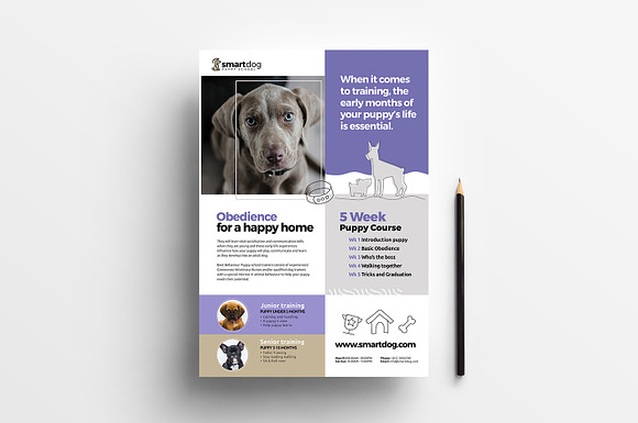 A4 Puppy School Poster Template in Flyer Templates - product preview 1