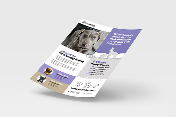 A4 Puppy School Poster Template in Flyer Templates - product preview 2