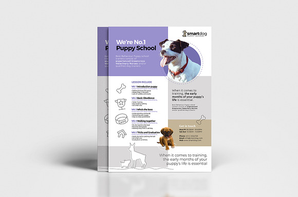 A4 Puppy School Poster Template in Flyer Templates - product preview 3