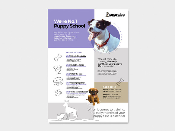 A4 Puppy School Poster Template in Flyer Templates - product preview 4