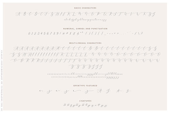 Aurellia Script Classy Fonts in Pretty Fonts - product preview 8