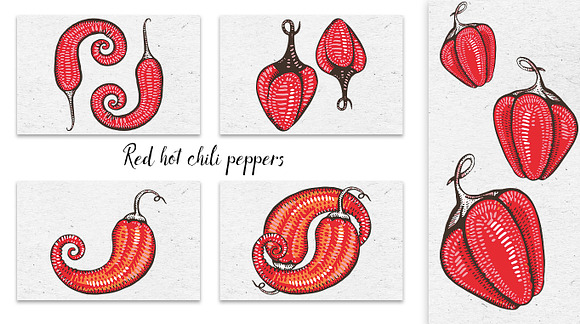 Red hot chili peppers in Patterns - product preview 1
