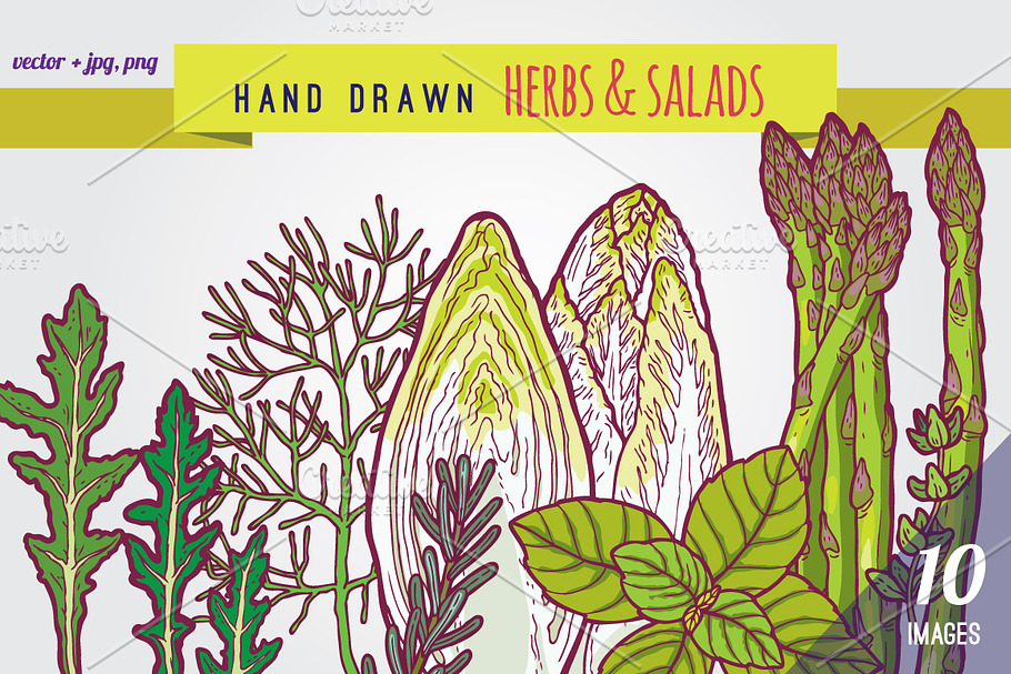 Hand drawn herbs and salads