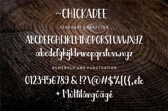 Chickadee - A Handwritten Font in Hand-lettered Fonts - product preview 5