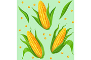 Corn cobs seamless pattern
