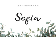 Sofia Script Font
