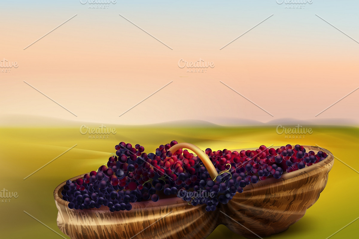 Grape in basket in Illustrations - product preview 8