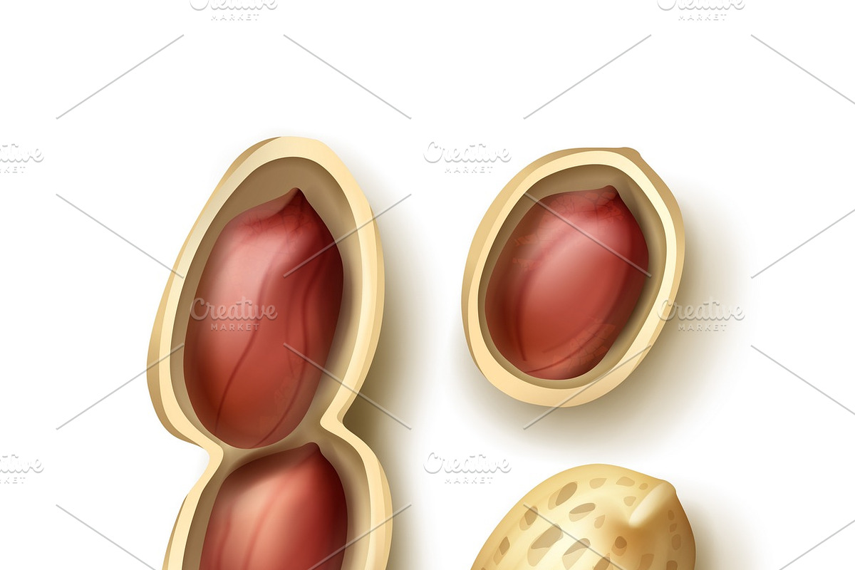 Whole and shelled peanuts in Illustrations - product preview 8