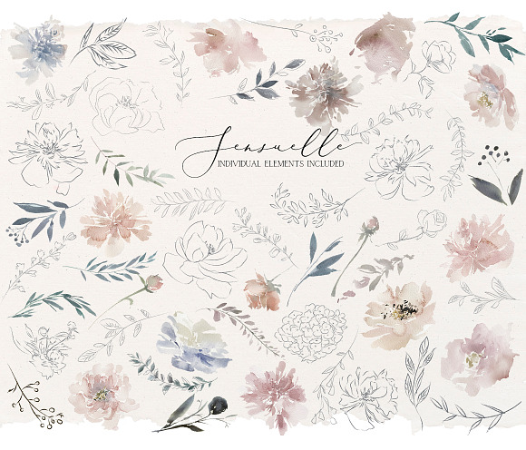 Sensuale Watercolor Floral Clipart in Illustrations - product preview 14