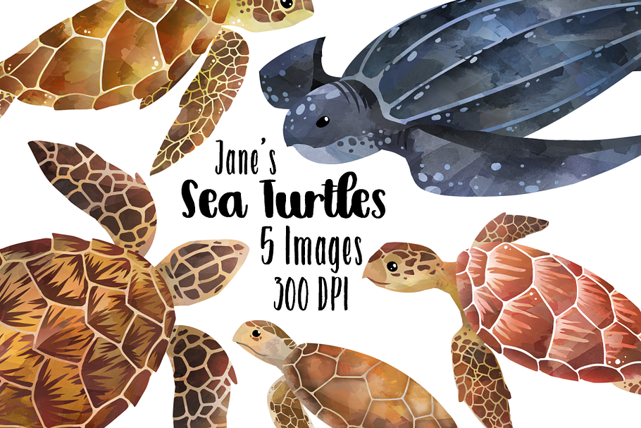 Watercolor Sea Turtles Clipart in Illustrations - product preview 8