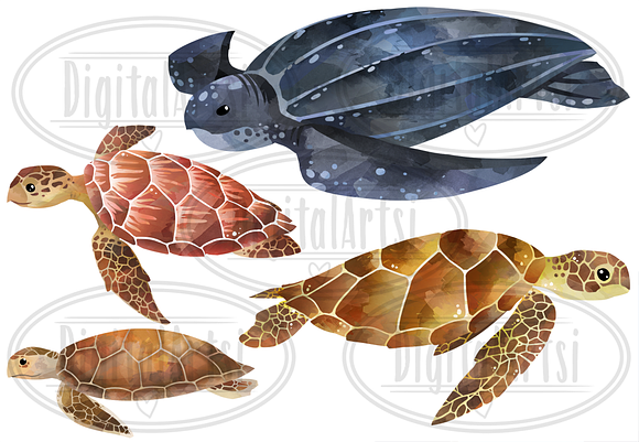 Watercolor Sea Turtles Clipart in Illustrations - product preview 1