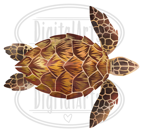Watercolor Sea Turtles Clipart in Illustrations - product preview 2