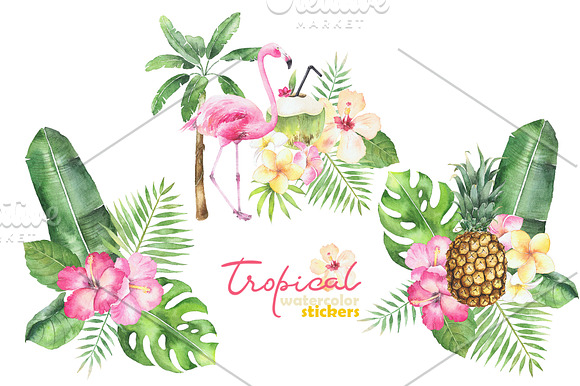 Watercolor Tropical set. in Illustrations - product preview 2
