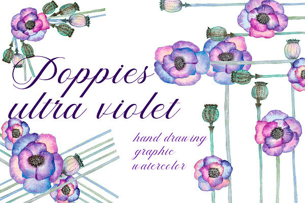 Poppies Ultraviolet. Watercolor set.