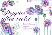 Poppies Ultraviolet. Watercolor set.