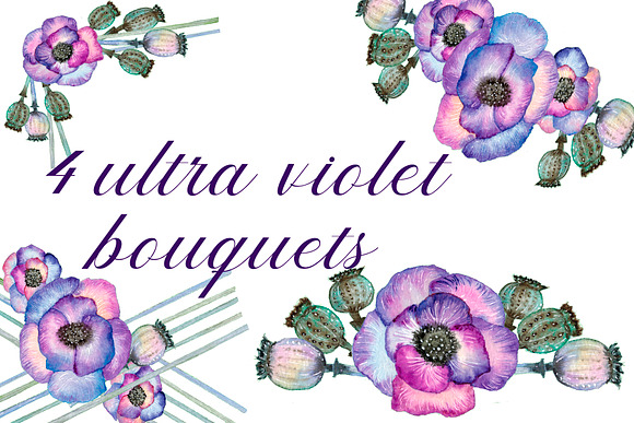 Poppies Ultraviolet. Watercolor set. in Illustrations - product preview 1