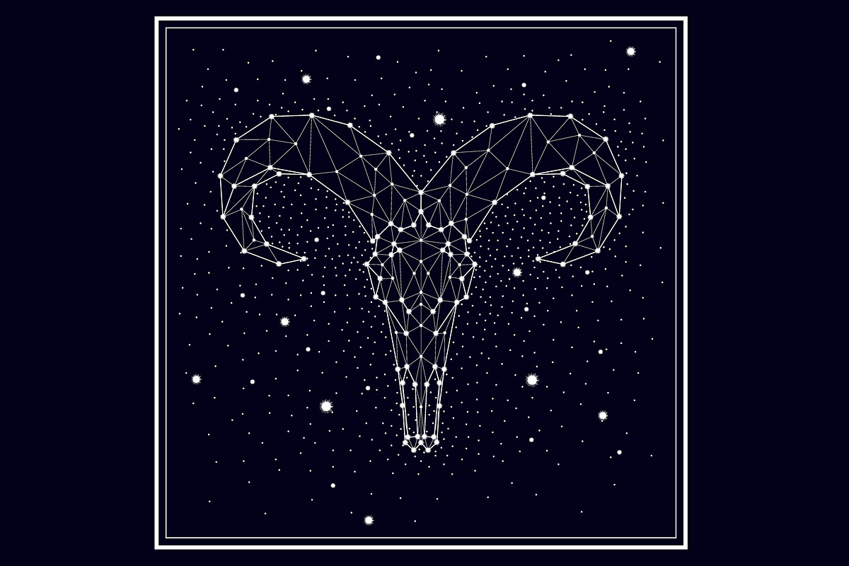 skull of an animal. constellation in Illustrations - product preview 8