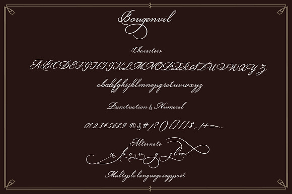 Bougenvil in Script Fonts - product preview 5