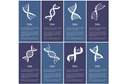 DNA Set of White Spirals Isolated on Blue Backdrop